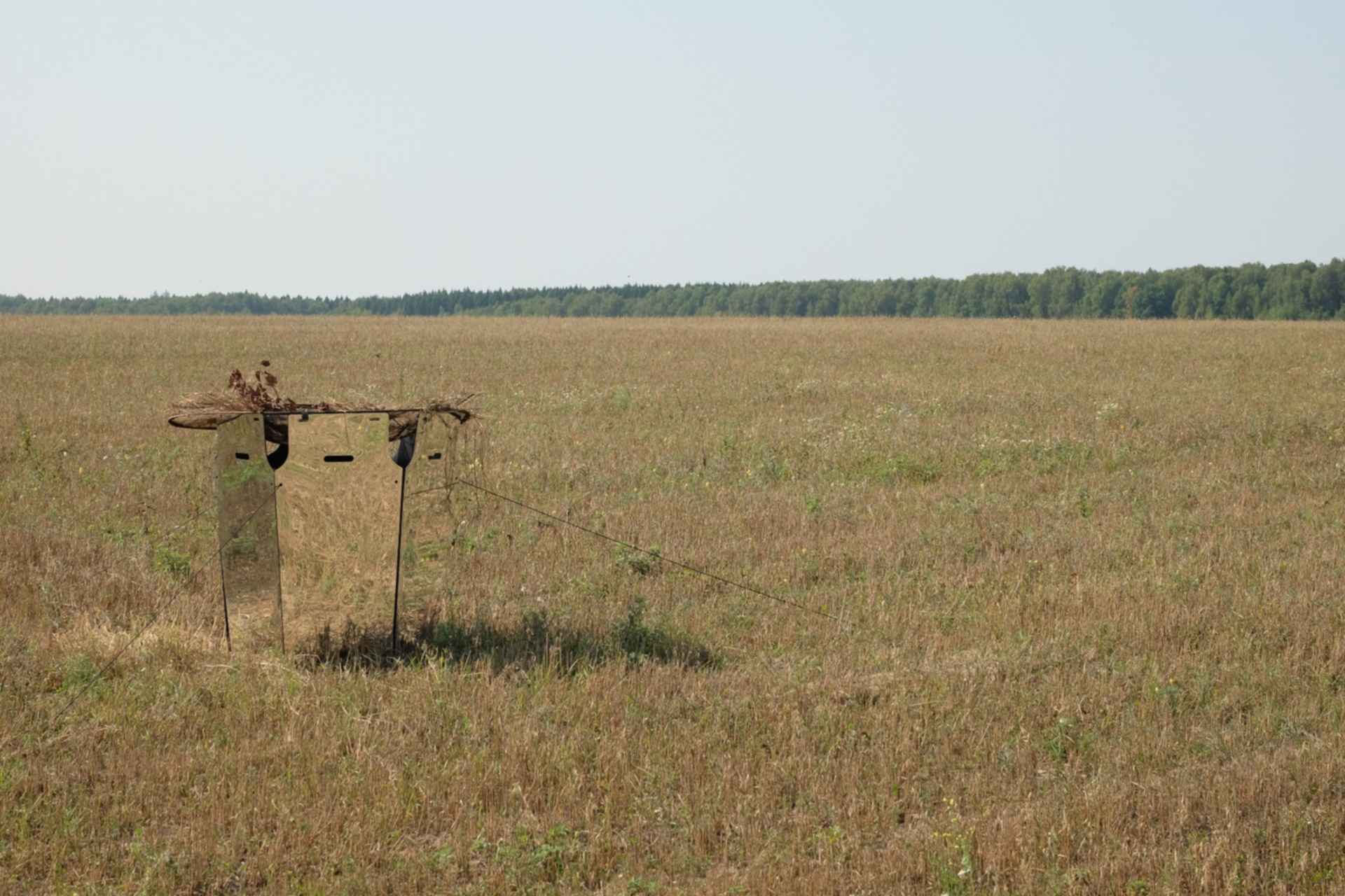 Засидка зеркальная (Олень)